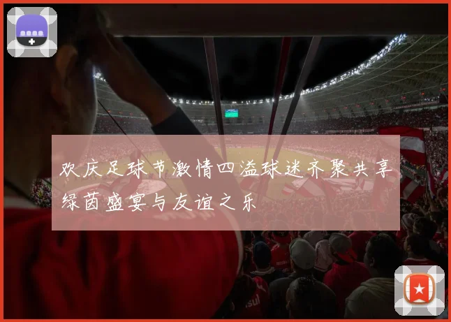 欢庆足球节激情四溢球迷齐聚共享绿茵盛宴与友谊之乐