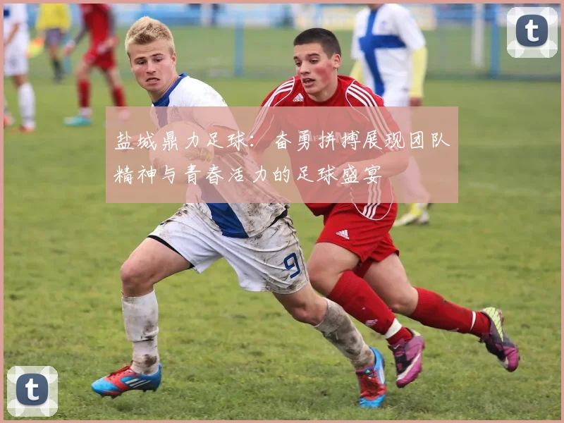 盐城鼎力足球：奋勇拼搏展现团队精神与青春活力的足球盛宴